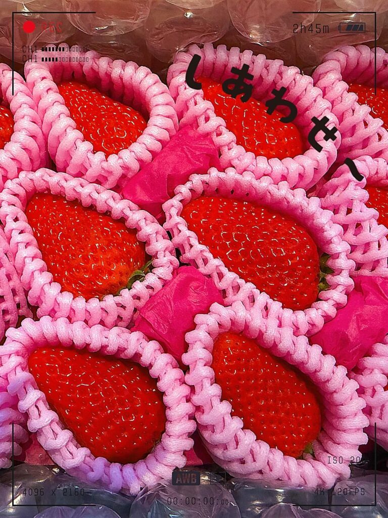 カナタ「出勤しました♪」(3/16)