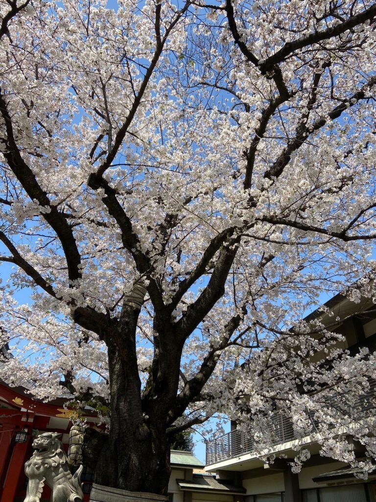 ウサギ「出勤しました♪」(4/5)